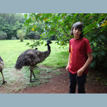  Aviary 2: my nephew Marco with emu.