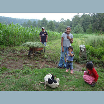  L to R: Aurelio, Oc the dog, Anayeli, Jiovana and Alondra.