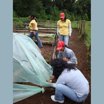 Volunteers fixing the ''micro tunnels'.